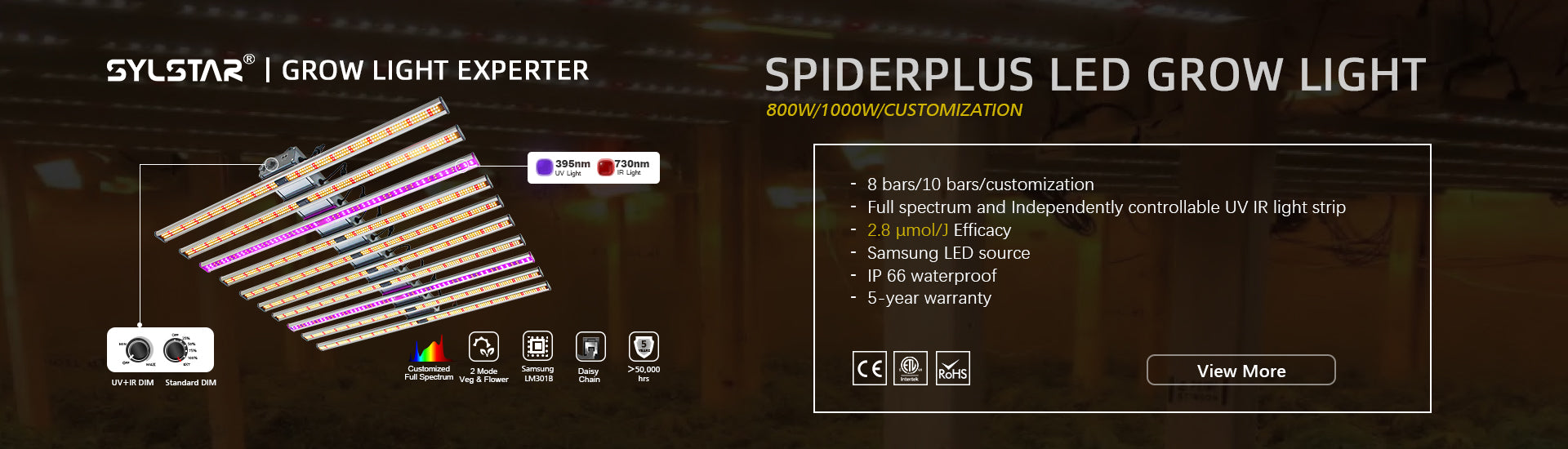 Led Spider Plus Light