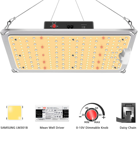Quantum Board