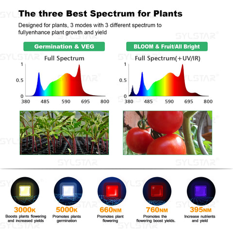 LED SPIDER PLUS LIGHT